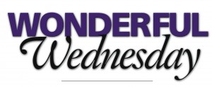 wonderful wed logo