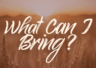 November 16, 2025 Bulletin